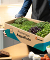 Containerboard lifestyle image Aquaflute