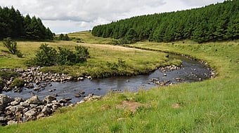 South Africa riverbed landscape