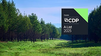 Image of a forest with trees and fields set against a blue sky with a CDP logo in the top right
