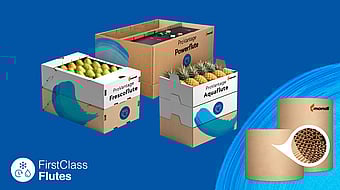 cardboard boxes displayed on a blue background